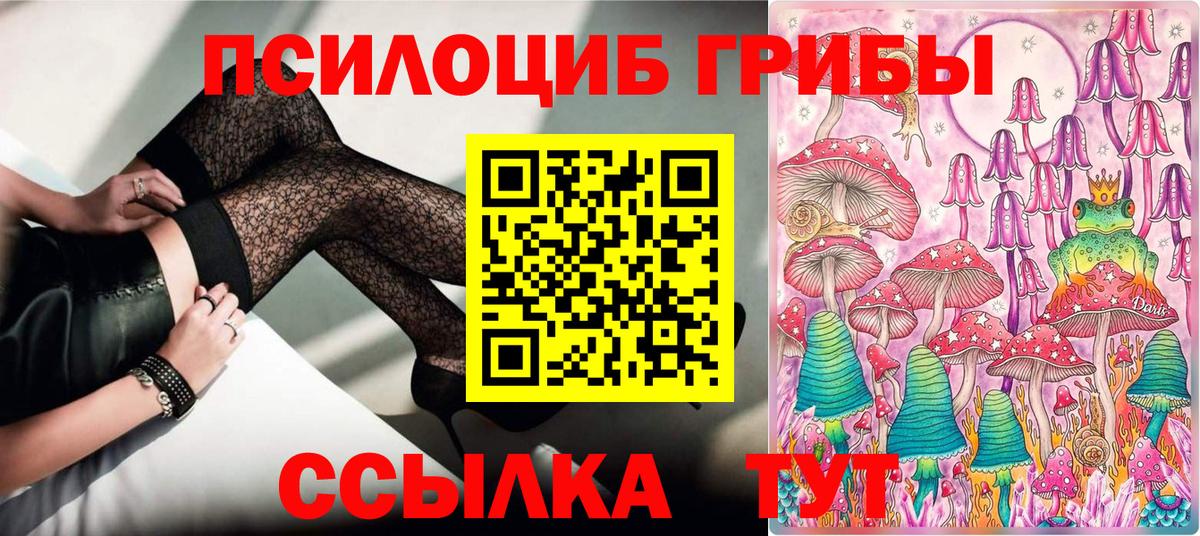 Галлюциногенные грибы MAGIC MUSHROOMS  Вход с VPN  Трёхгорный 