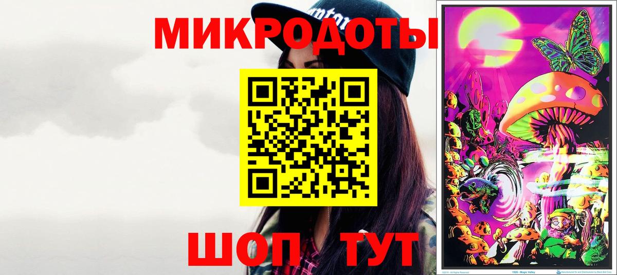 Псилоцибиновые грибы Psilocybe Трёхгорный